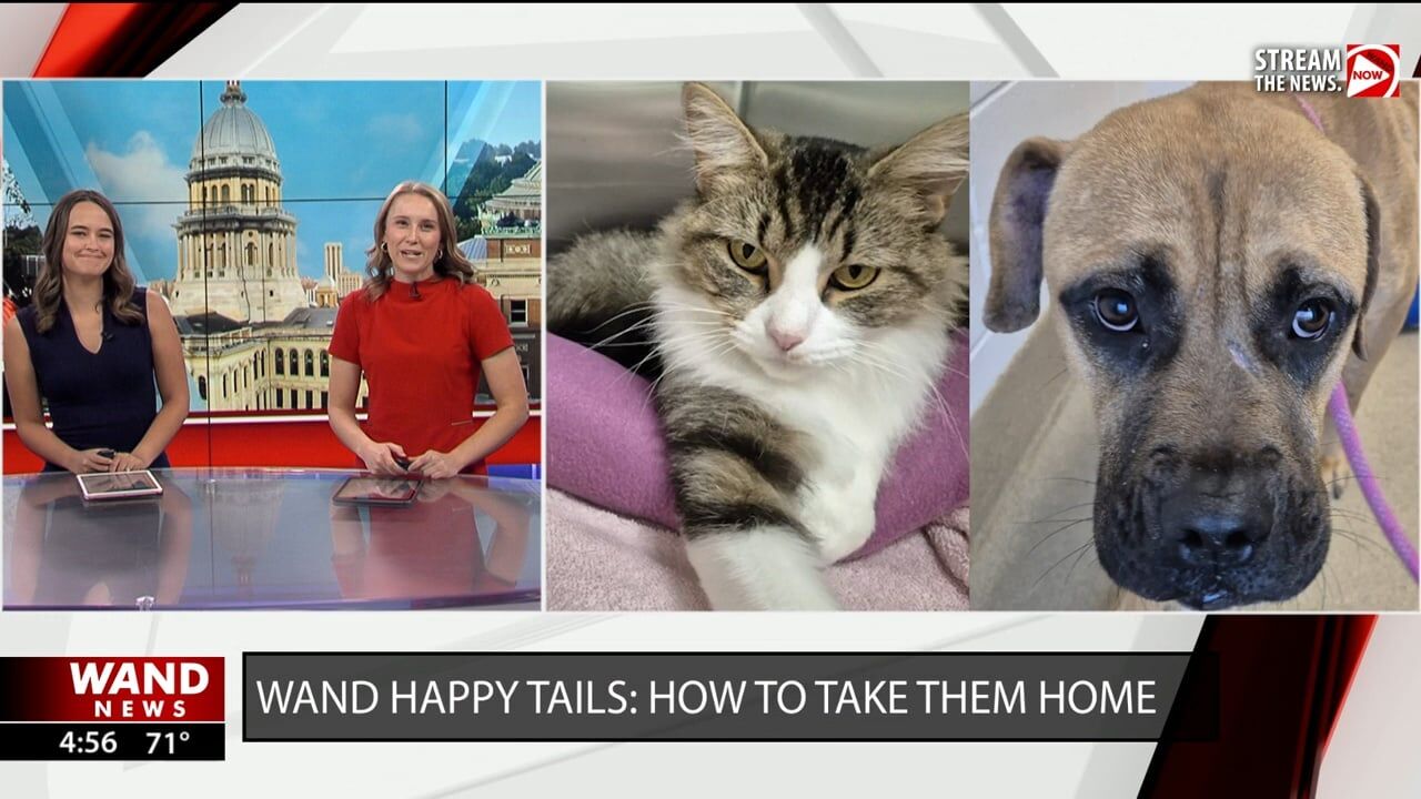 WAND's Happy Tails featuring Sebold and Sheila